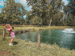 Pesca Bass Bay